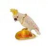 3.7" White Cockatoo on Hat Crystal Studded Jewelry Trinket Box