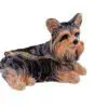 2.6" Yorkshire Terrier Crystal Studded Jewelry Trinket Box