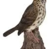 7.68" Motion Activated Singing Songbird Standing On Stump