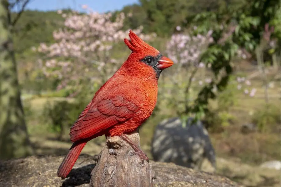 6.7" Cardinal Motion Activated Singing Figurine