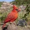 6.7" Cardinal Motion Activated Singing Figurine