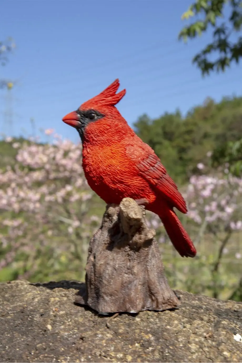 6.7" Cardinal Motion Activated Singing Figurine