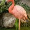 11" Pink Flamingo Standing Figurine