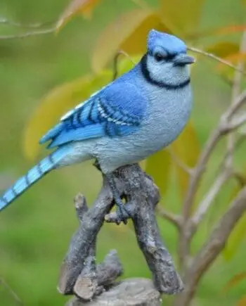 9.5" Blue Jay On Branch