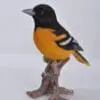 7" Oriole On a Branch Figurine