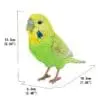 5" Green Budgerigar with Iron Foot