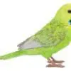 5" Green Budgerigar with Iron Foot