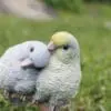 5.6" Pacific Parrotlets Pair on a Branch Figurine