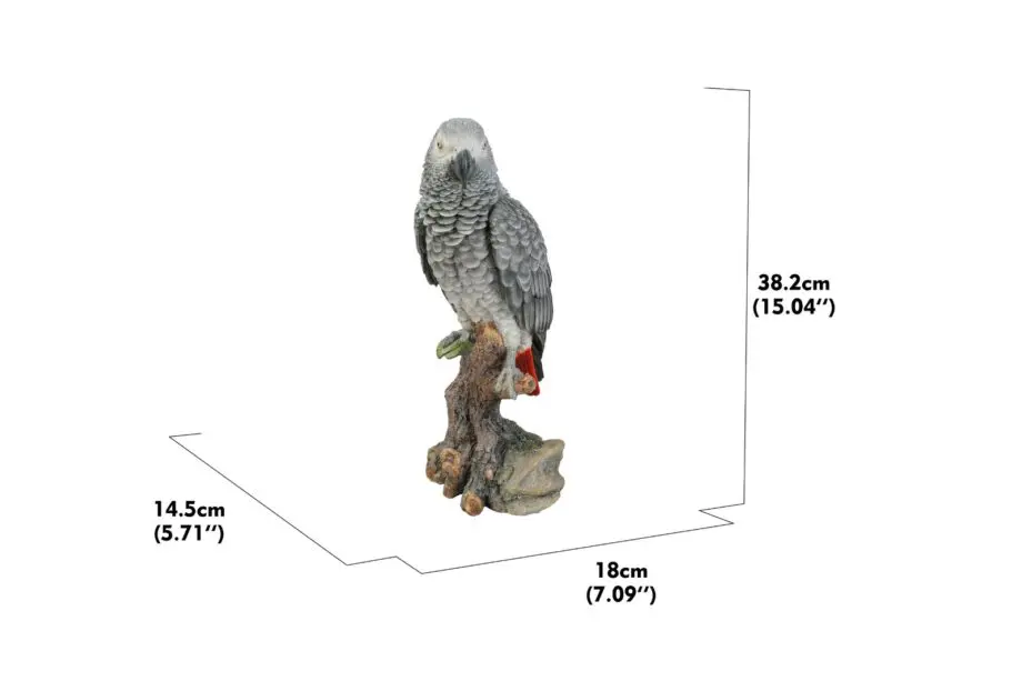 15" African Grey Parrot on a Stump