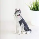 6" Husky Dog Figurine