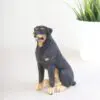 6" Rottweiler Dog Figurine