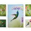 Green Hummingbird Design Canvas Wall Prints Set