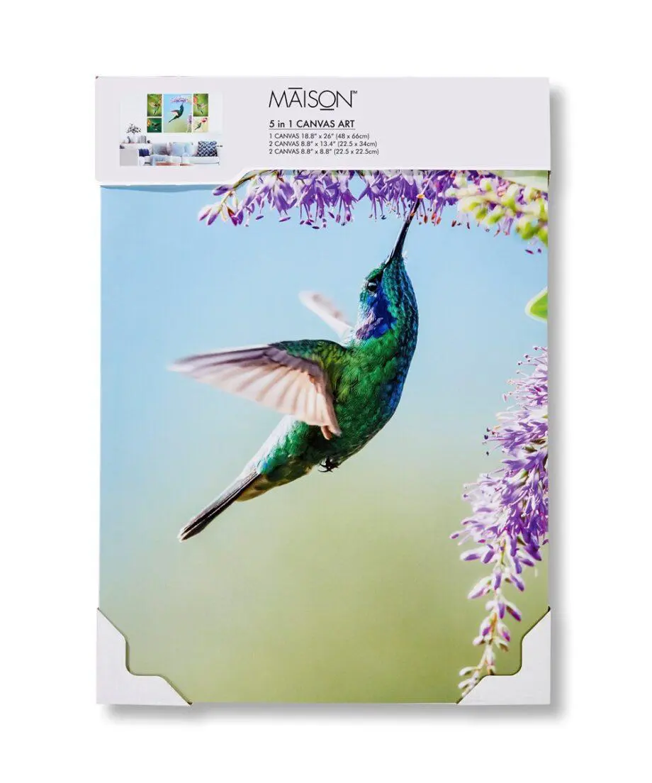 Green Hummingbird Design Canvas Wall Prints Set