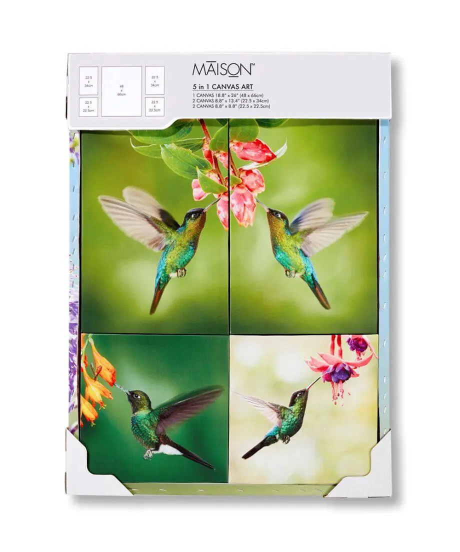 Green Hummingbird Design Canvas Wall Prints Set