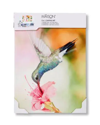 Hummingbird Design Canvas Wall Prints Set