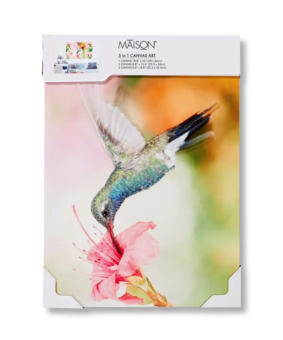 Hummingbird Design Canvas Wall Prints Set