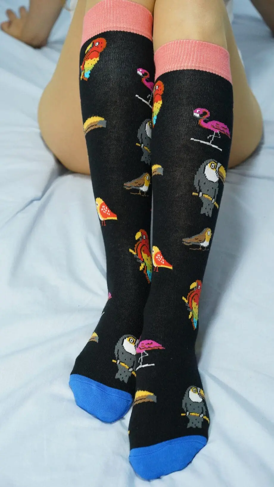 "Wild Birds" Women's Knee High Socks by Socks n Socks