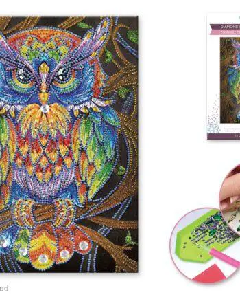 12"x 16" Owl Diamond Art Kit by Craft Medley