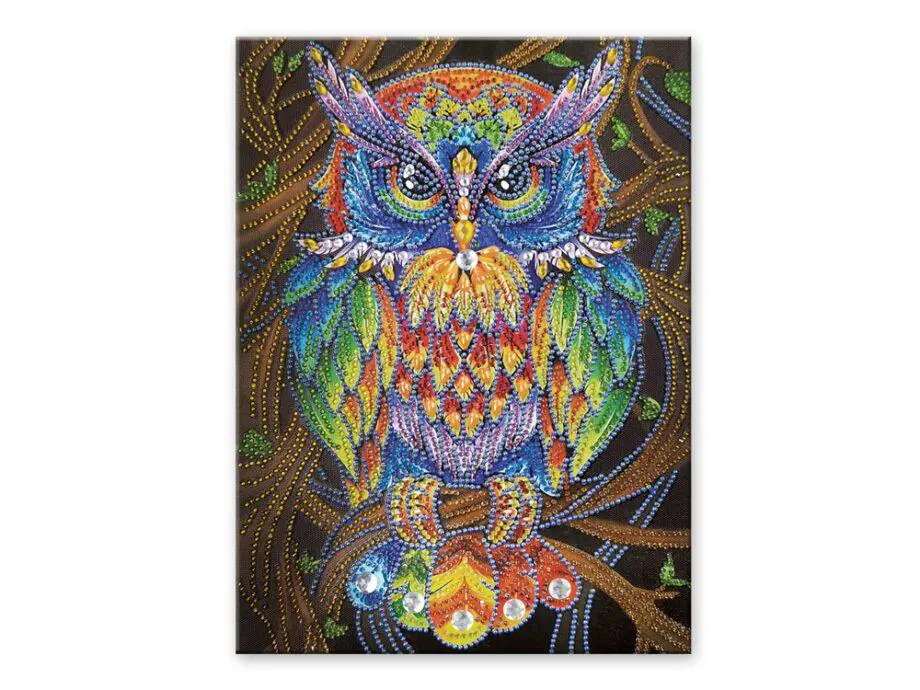 12"x 16" Owl Diamond Art Kit by Craft Medley