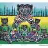 I2 Bear Medicine Diamond Art Kit Designed by artist Jessica Somers