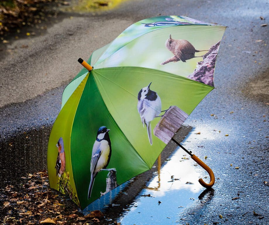 Multi-birds on panels umbrella