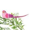 pink elegant bird clip