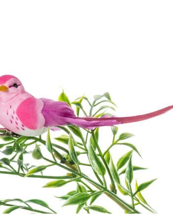 pink elegant bird clip