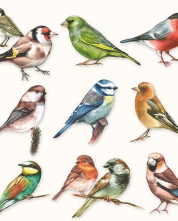 "Collection of Birds" Luxury Luncheon Napkin