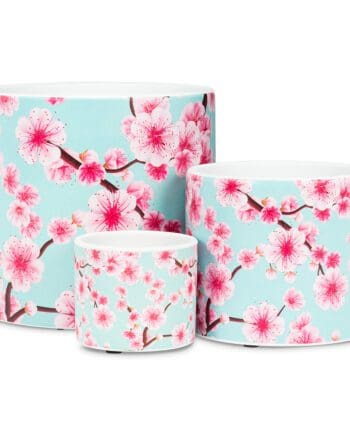 Cherry Blossom Planter Large 16.5 cm (6.5") Diameter