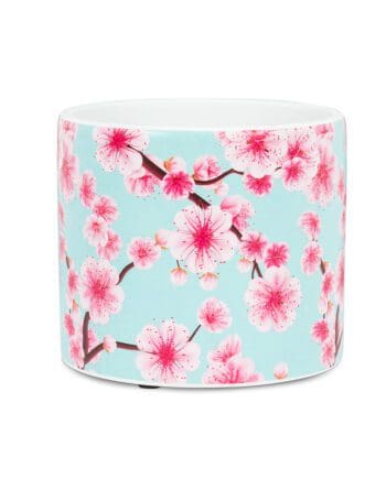 Cherry Blossom planter small 11.5 cm (4.5") diameter