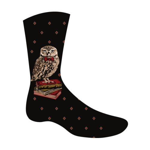 Reading is a hoot owl design men's novelty crew socks