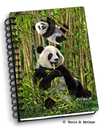 Pandas Notebook