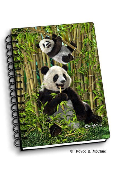 Pandas Notebook