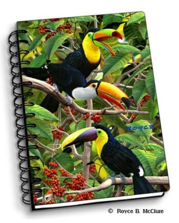 Toucan Notebook