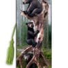 Black Bears bookmark