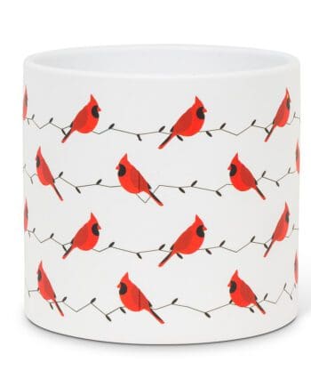 Allover Cardinal Planter