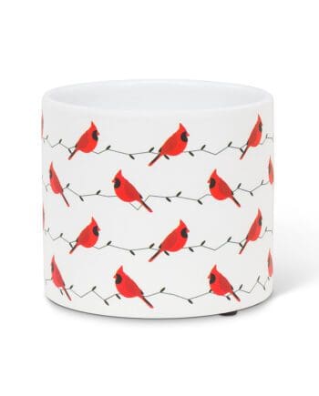 Allover Cardinal Planter