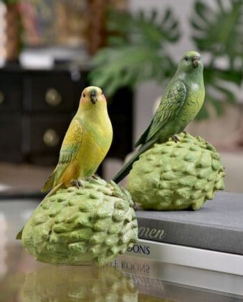 6.3" Parrot Standing on Fruit