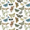 Butterflies and Moths Gift Wrap