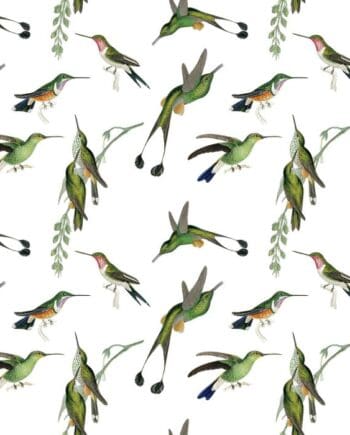 Hummingbirds Gift Wrap