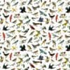 North American Songbirds Gift Wrap