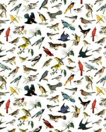 North American Songbirds Gift Wrap