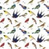 Songbirds Gift Wrap