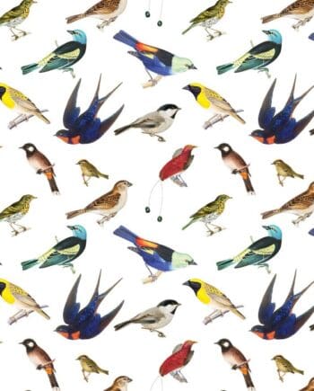 Songbirds Gift Wrap