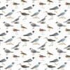 Shorebirds Gift Wrap