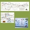 A History of Existing Birds Panorama Poster