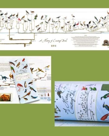 A History of Existing Birds Panorama Poster