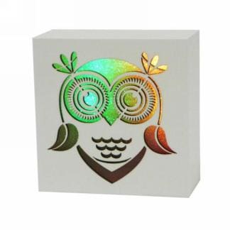 LED Owl light Box