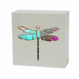 LED Dragonfly Light Box