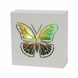 LED Butterfly Light Box